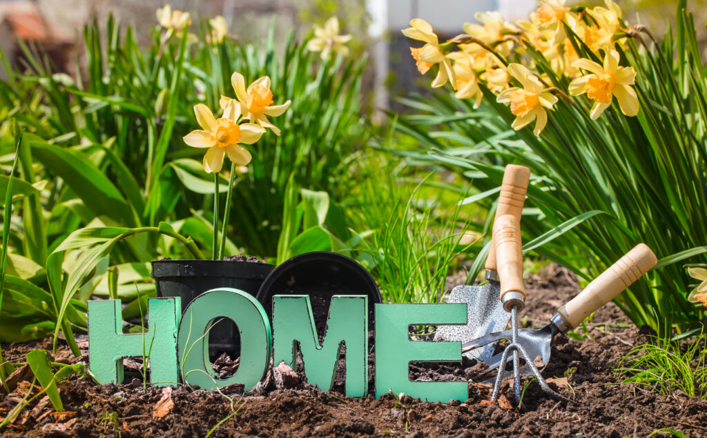 creating Pollinator-Friendly Garden at home