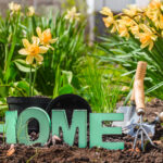 creating Pollinator-Friendly Garden at home