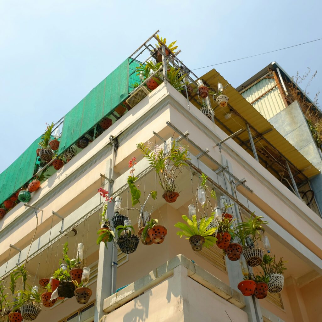 A practical, inspiring shot of a native and climate-resilient plants for a vertical garden on a city apartment balcony. This makes the advice tangible for readers with limited space.
