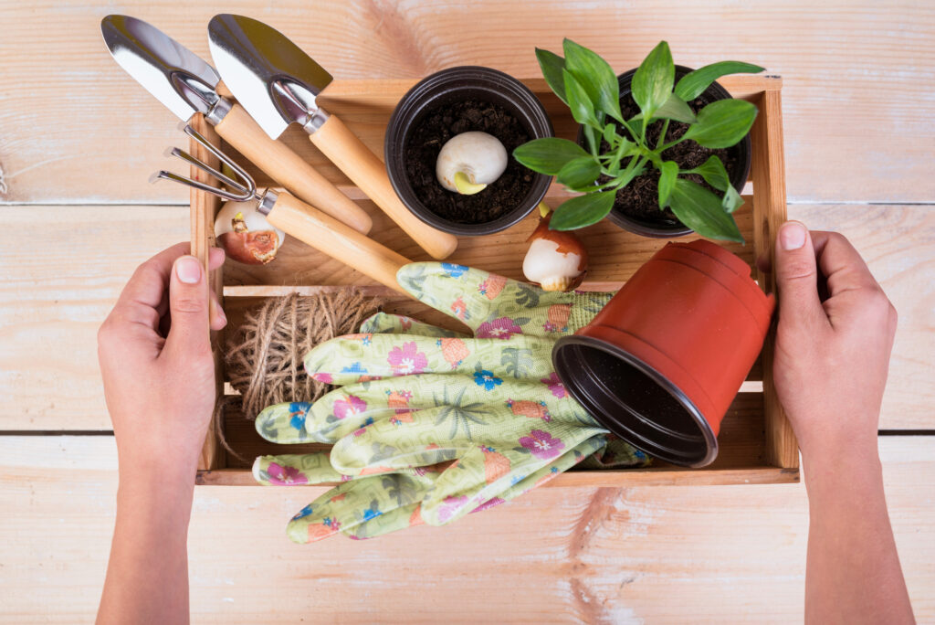It’s a DIY holiday gifts of experience and hope, perfect for inspiring budding gardeners.