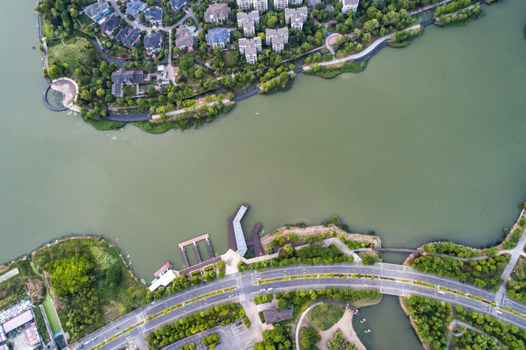 fighting lobbies for mangrove coastal protection