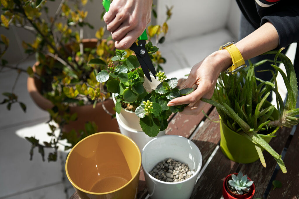 practical gardening for mental health