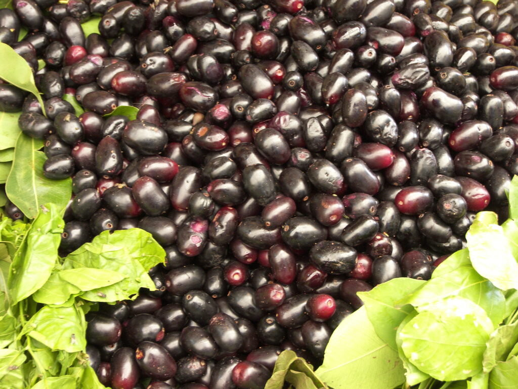 jamun