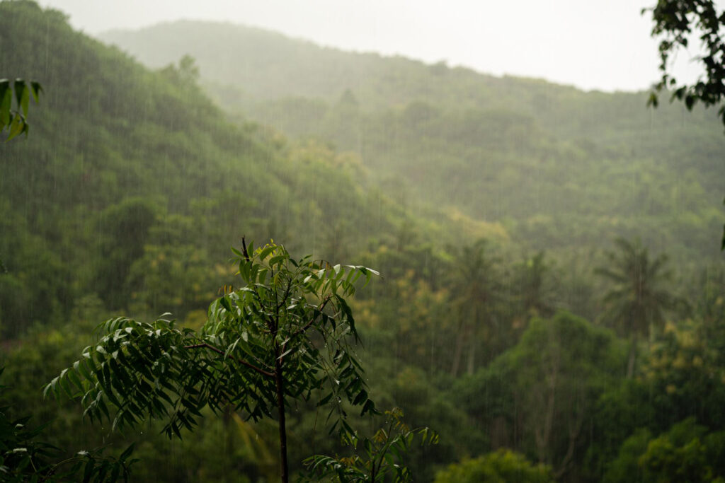monsoon in konkan, western ghats