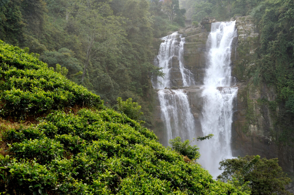Western Ghats and Konkan