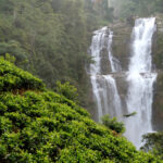 Western Ghats and Konkan