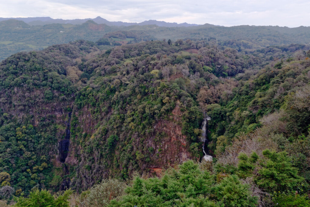 western ghats forests